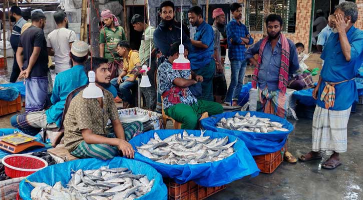 মা ইলিশ সংরক্ষণে নিষেধাজ্ঞার শেষ সময়ে কেবিবাজারে ভিড়, অতিরিক্ত দামে হতাশ ক্রেতারা